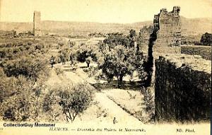 TLEMCEN 016- COLLECTION MONTANER